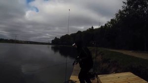 Форель . Рыбхоз Сенеж. Nories .