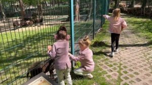 Ровно. Украина. Зоопарк.