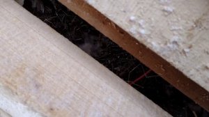 Как собрать перегородку из профилированного бруса