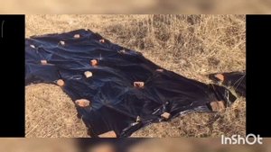 Обзор участка. Расчистка и подготовка площадки под вагончик (бытовку). 20.05.2023