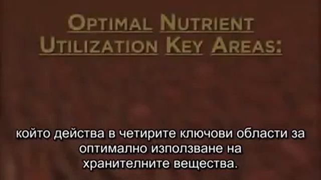 Forever Calcium / Хранителна добавка с калций, магнезий и витамин D смотреть онлайн