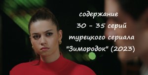 Содержание 30, 31, 32, 33, 34, 35 серий турецкого сериала "Зимородок" (РФ, 2023)