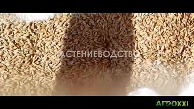 Сельскохозяйственный портал AGROXXI