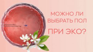 ♀️♂️ Можно ли выбрать пол ребенка при ЭКО?