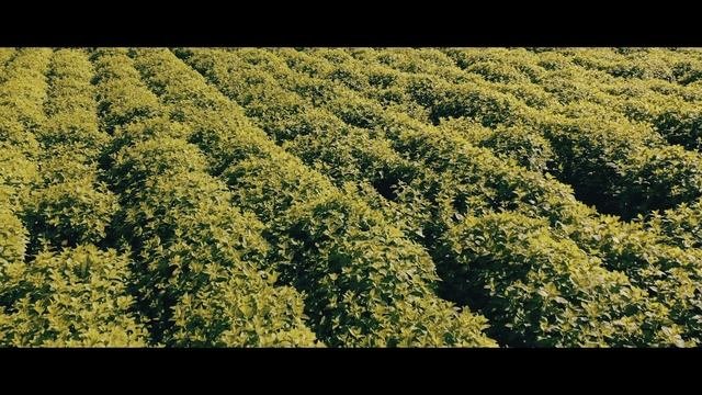 Презентационный фильм ПКФ 