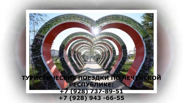 Поездка в Чечню / Туризм в Чечне