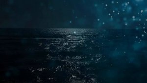 Денгиз тушда курса нима булиши хакида туш табири