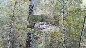 Река Белокуриха осенью. Белокуриха Алтайский край природа. Осень в Белокурихе.