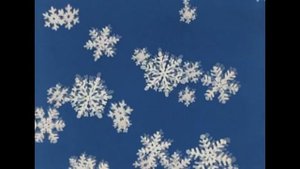 Сёння свята новы год (навагоднія песні па-беларуску)