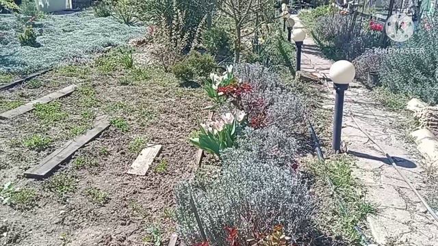 Апрель ласкает, Апрель восхищает. Обзор парка "Укромный" 05.04.24. смотреть онлайн