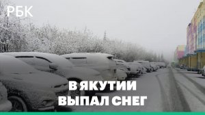 В северных районах Якутии ночью выпал снег