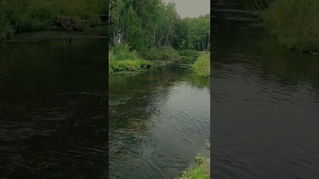 велопрогулки