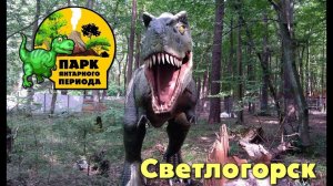 Куда сходить? Парк Янтарного Периода в Светлогорске | Выходной