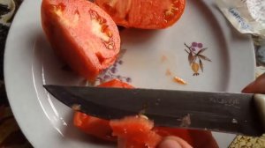 Дегустация томата "Боливар"