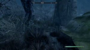 How to get a cure from vampire Skyrim PS4/PS3 Xbox one