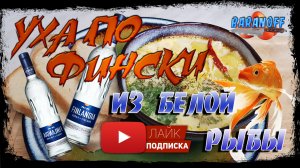 ? Нежнейшая уха по фински ? из белой рыбы ? Просто нереальное вкусовое наслаждение!!!!?