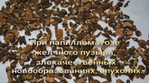 Калган, лапчатка прямостоячая.
