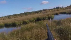 Подборка удачных выстрелов на охоте по перу / Best duck hunt compilation / Часть 1