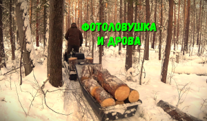 ФОТОЛОВУШКА НА ХИТРОГО СОБОЛЯ!!! ДРОВА НА ЗИМОВЬЕ.