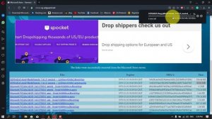 How to Download Offline Copies of Windows 10 apps From the Microsoft Store