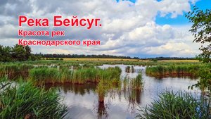 Река Бейсуг