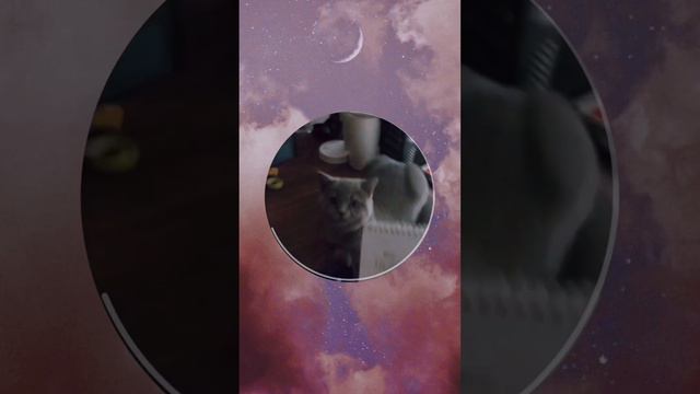 5 games to play when you are sad or exhausted #games #farming #farminggames #lifesimulator смотреть онлайн