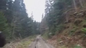 Монтонегро. Горная лесная дорога. Джиппин. Балканы./ Mountain forest road. Gipping. Balkans.