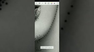 CARA MEMBUAT STIPPLING ART DI AUTODESK SKETCHBOOK || Go younjung stippling