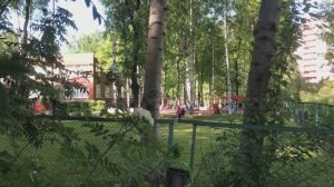 Как быть с использованием воздуходувок во дворах?