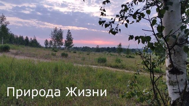 Медитация на День Летнего Солнцестояния. Обучение и практика соединения сил Солнца, Воды и Земли