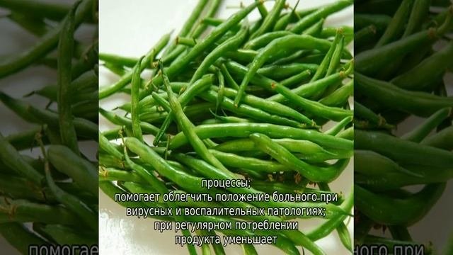 Стручковая фасоль