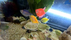 Последний день лета // влог KiFill boys 13+