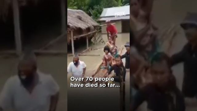 Rhinos, Deer Drown As Floods Nearly Completely Submerge Kaziranga National Park In Assam смотреть онлайн