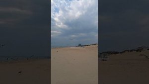 Опять я вижу белых чаек над водой//Как легко они кружат..//