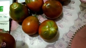томат Чёрная Принцесса