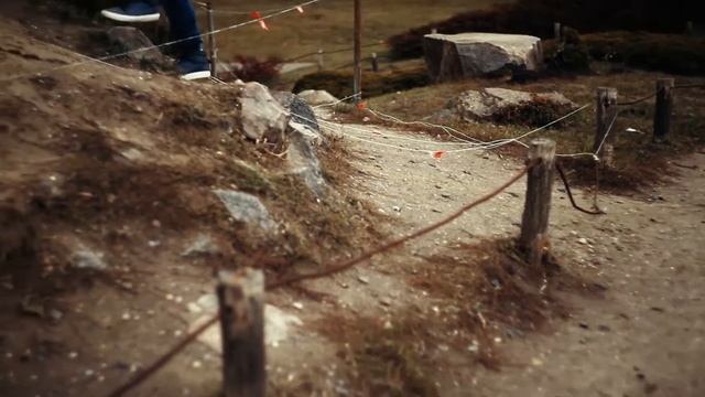 Тест объектива "Гелиос" 44 (1960) смотреть онлайн