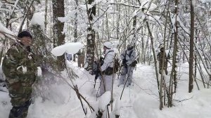 Зимой в лесу с веселой песней)))