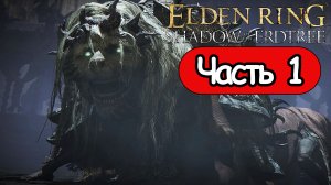 Elden Ring Shadow of the Erdtree - Геймплей Прохождение Часть 1 (без комментариев, PC)