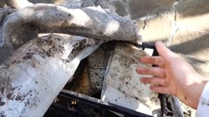 Продажа ЧЕРВЯ! Как подготавливать ЧЕРВЯ ДЛЯ ПРОДАЖИ!