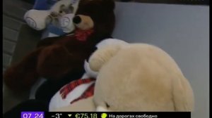 Большие плюшевые мишки «Королевство Медведей». Мягкие игрушки. Большие мягкие медведи.