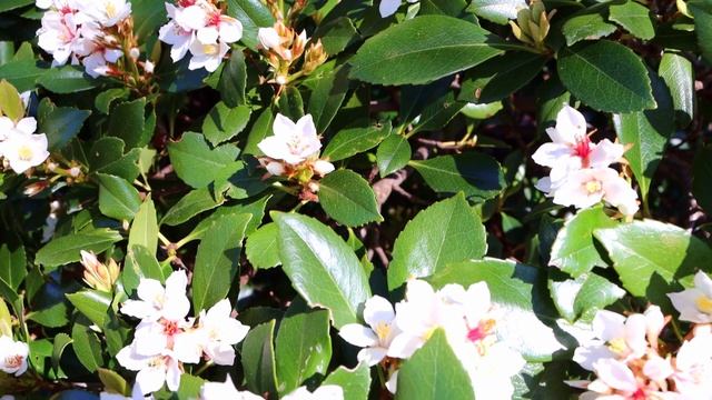 I Got a New Camera! (Canon Eos 90D) смотреть онлайн