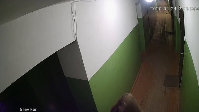 Девушкам не дали потусовать и покурить в подъезде.