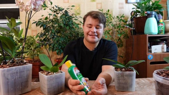 #Цион для орхидей - #деньги на #ветер, как и любой другой цион❗ #Чудо не случилось ?