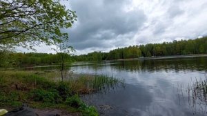 Безрыбное Пяловское водохранилище