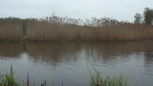 КЛЁВ КАК ИЗ ПУЛЕМЁТА