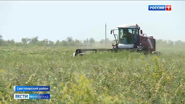 На волгоградских полях идет сенокос смотреть онлайн