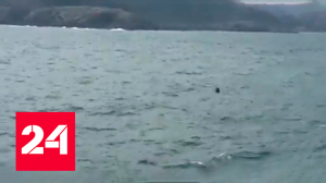 Подозрительный предмет в Босфоре оказался миной старого образца - Россия 24