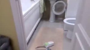 Выезд арендатора: как выглядит квартира