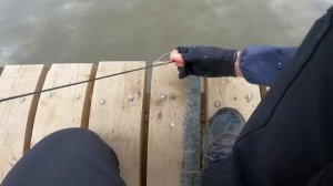 Зверские поклевки огромной форели!!! Платная рыбалка на форель д. Щеглятево Тихая Заводь. Топ Место