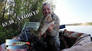 ЖЕСТЬ КАК ОНА ТАЩИТ  #щука #pike #щуканабулю #буля